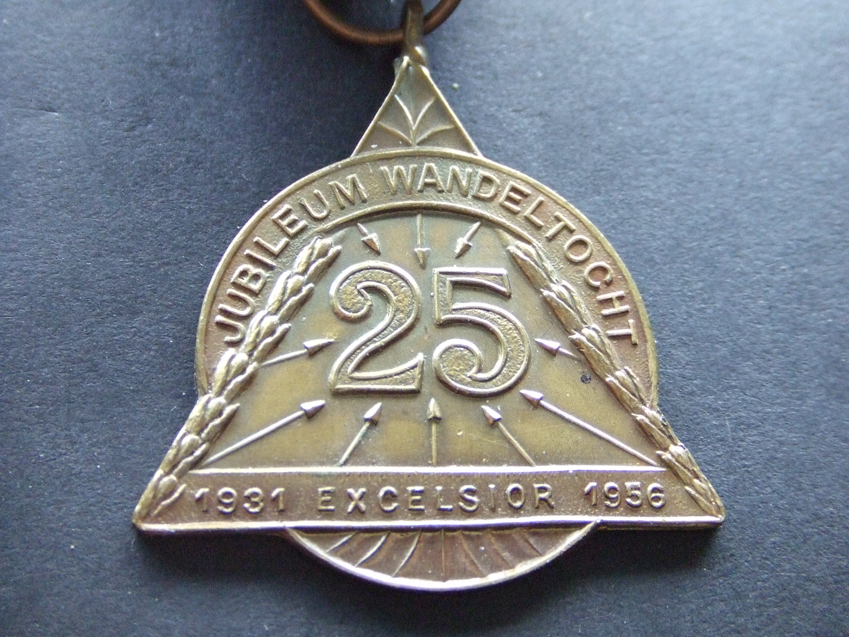 Wandelsportvereniging Excelsior 25 jaar jubileum